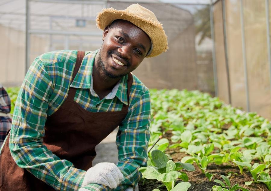 A young man tending seedlings inside a greenhouse