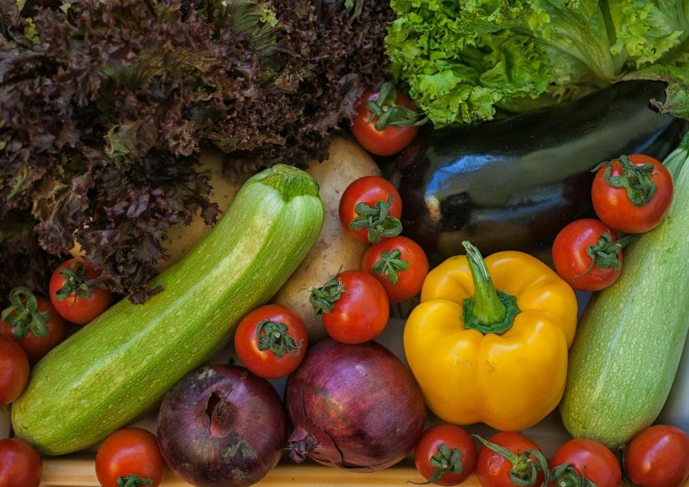 Fresh zucchini, peppers and tomatoes